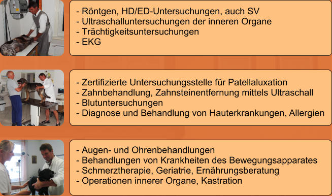 - Rntgen, HD/ED-Untersuchungen, auch SV - Ultraschalluntersuchungen der inneren Organe - Trchtigkeitsuntersuchungen - EKG - Zertifizierte Untersuchungsstelle fr Patellaluxation - Zahnbehandlung, Zahnsteinentfernung mittels Ultraschall - Blutuntersuchungen - Diagnose und Behandlung von Hauterkrankungen, Allergien  - Augen- und Ohrenbehandlungen - Behandlungen von Krankheiten des Bewegungsapparates - Schmerztherapie, Geriatrie, Ernhrungsberatung - Operationen innerer Organe, Kastration